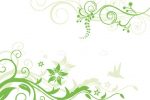 Floral Background in White and Green